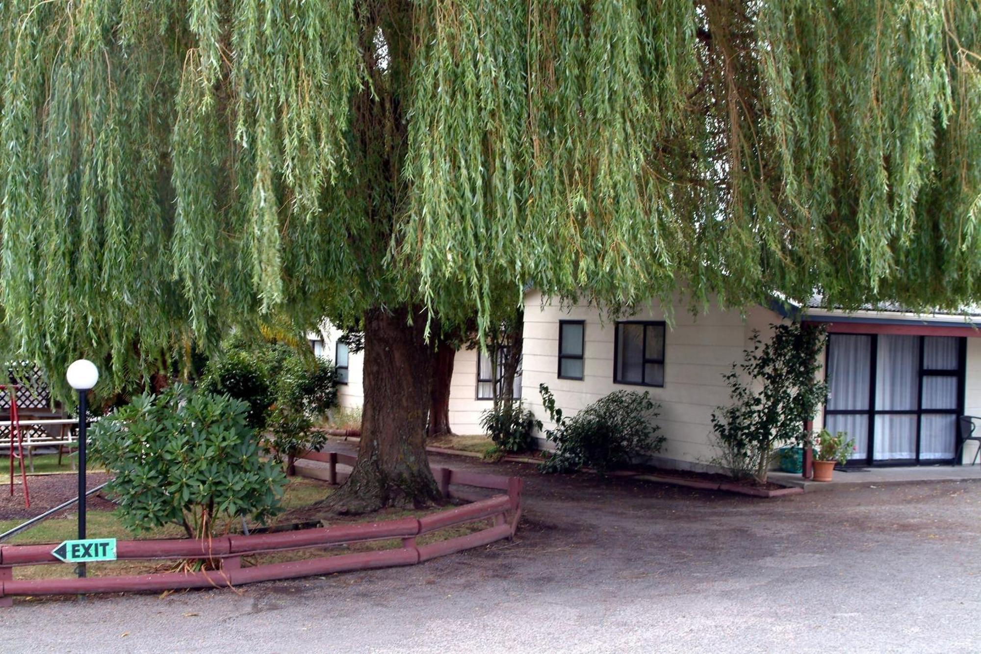 Camellia Court Family Motel Taupomeer Buitenkant foto